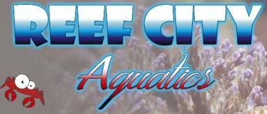 Reef City Aquatics